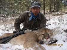 A nice eastern Mt. tom lion